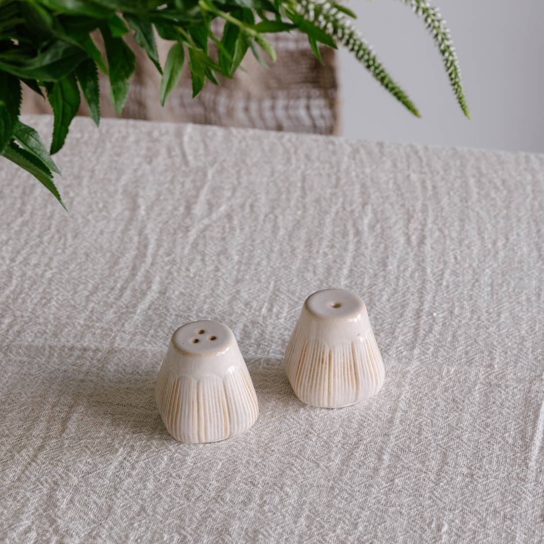 Two ceramic salt and pepper shakers on a textured surface with greenery in the background.
