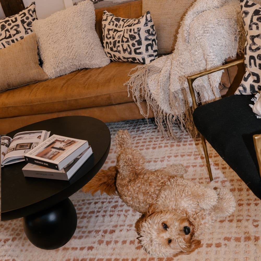 Dog lying on a rug in a living room with a couch, coffee table, and books.